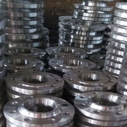 Stainless Steel  Flange