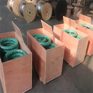 Stainless Steel Spring Wire 400 series