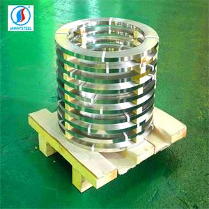 Stainless Steel Strips Suppliers