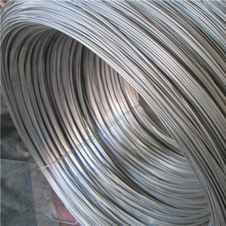 Stainless Steel Wire Rod